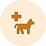 Pet Insurance